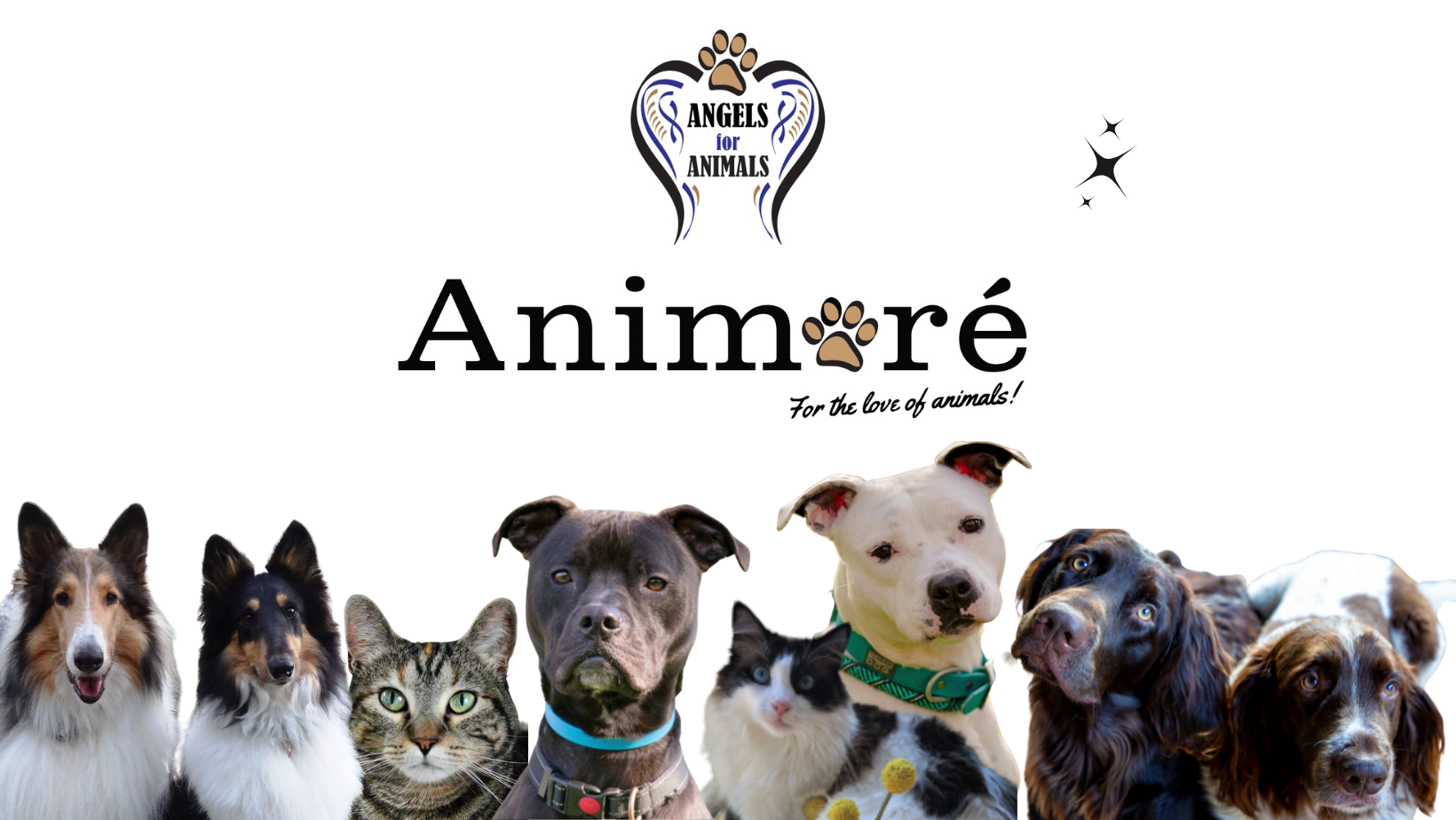 Animore JPEG with Drake and Chance, Jax and Collies