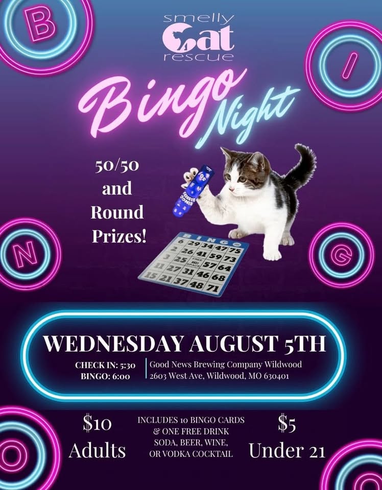 bingo2026